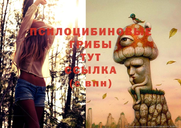 spice Ростов