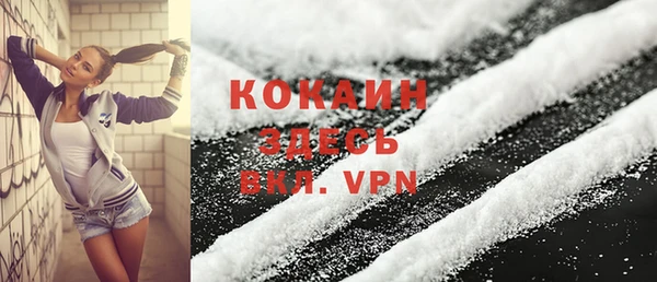 твердый Сатка