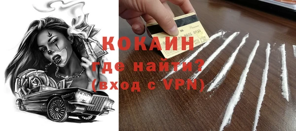 прущие грибы Рославль