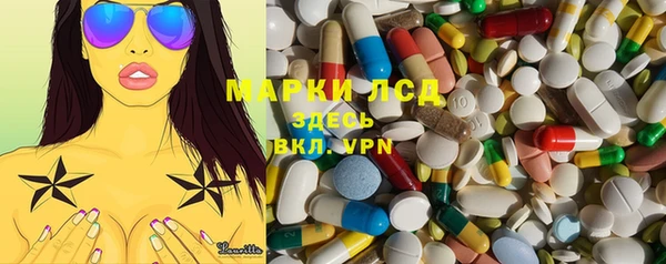 ГАЛЛЮЦИНОГЕННЫЕ ГРИБЫ Вязьма
