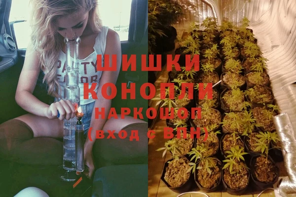 прущие грибы Рославль