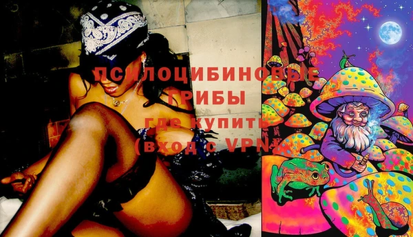 ECSTASY Семилуки