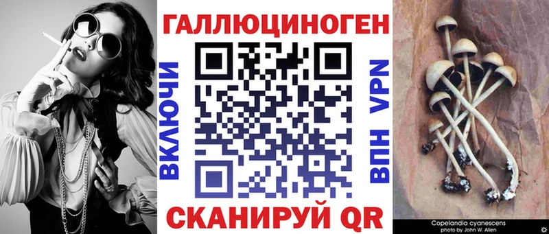 Псилоцибиновые грибы ЛСД  кракен как зайти  Жиздра  закладки 